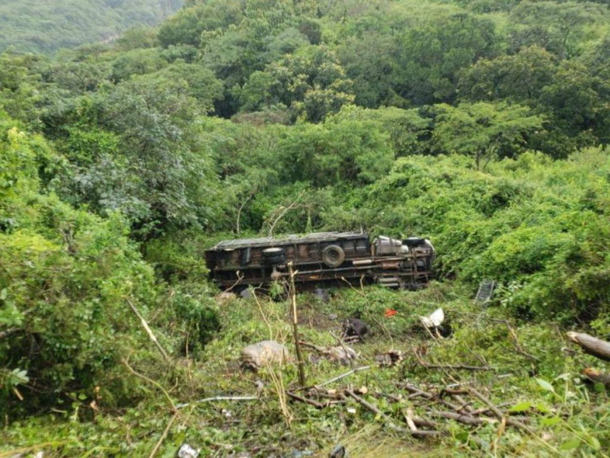 Camión cargado de ganado cae a abismo en carretera a Olancho