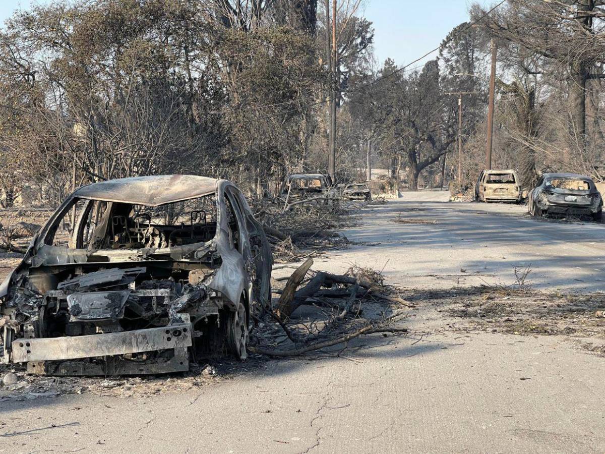 Pacific Palisades, el barrio de los famosos que incendios redujeron a ceniza