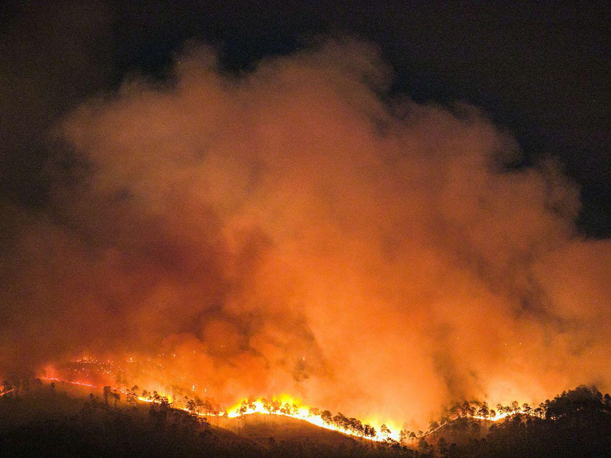 $!Los incendios ha desatado drama entre la población hondureña.