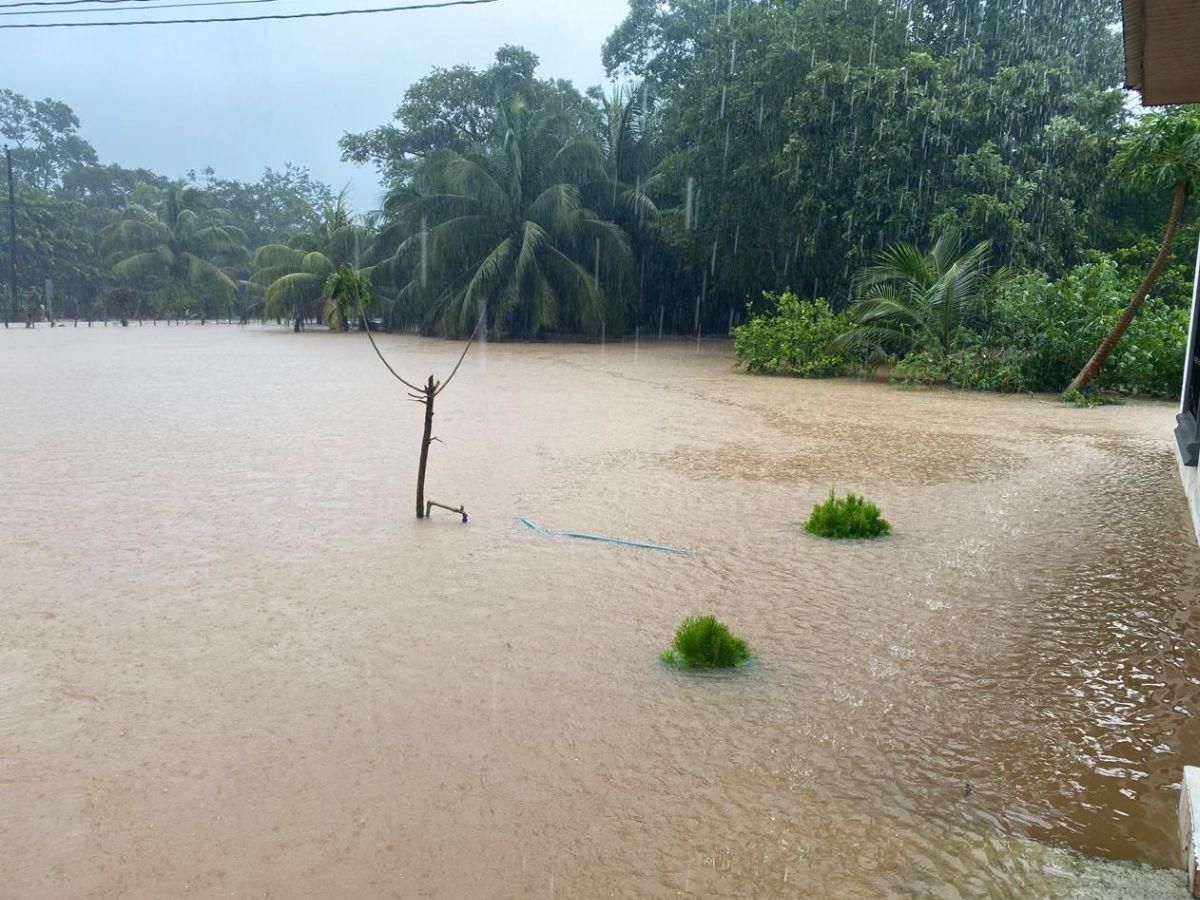 Los daños que ha dejado la tormenta Sara en la zona norte de Honduras