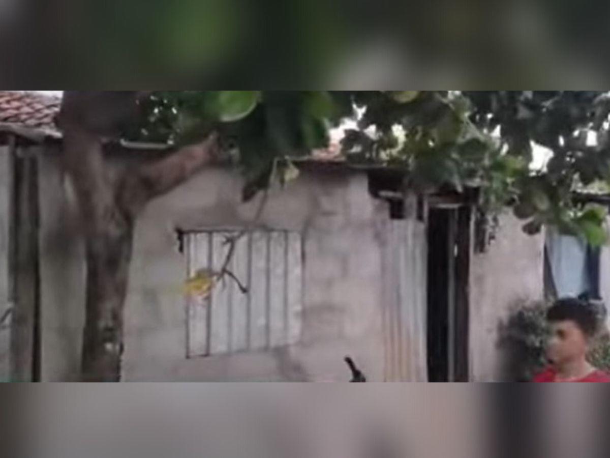 Dentro de su propia casa matan a un joven en Choluteca