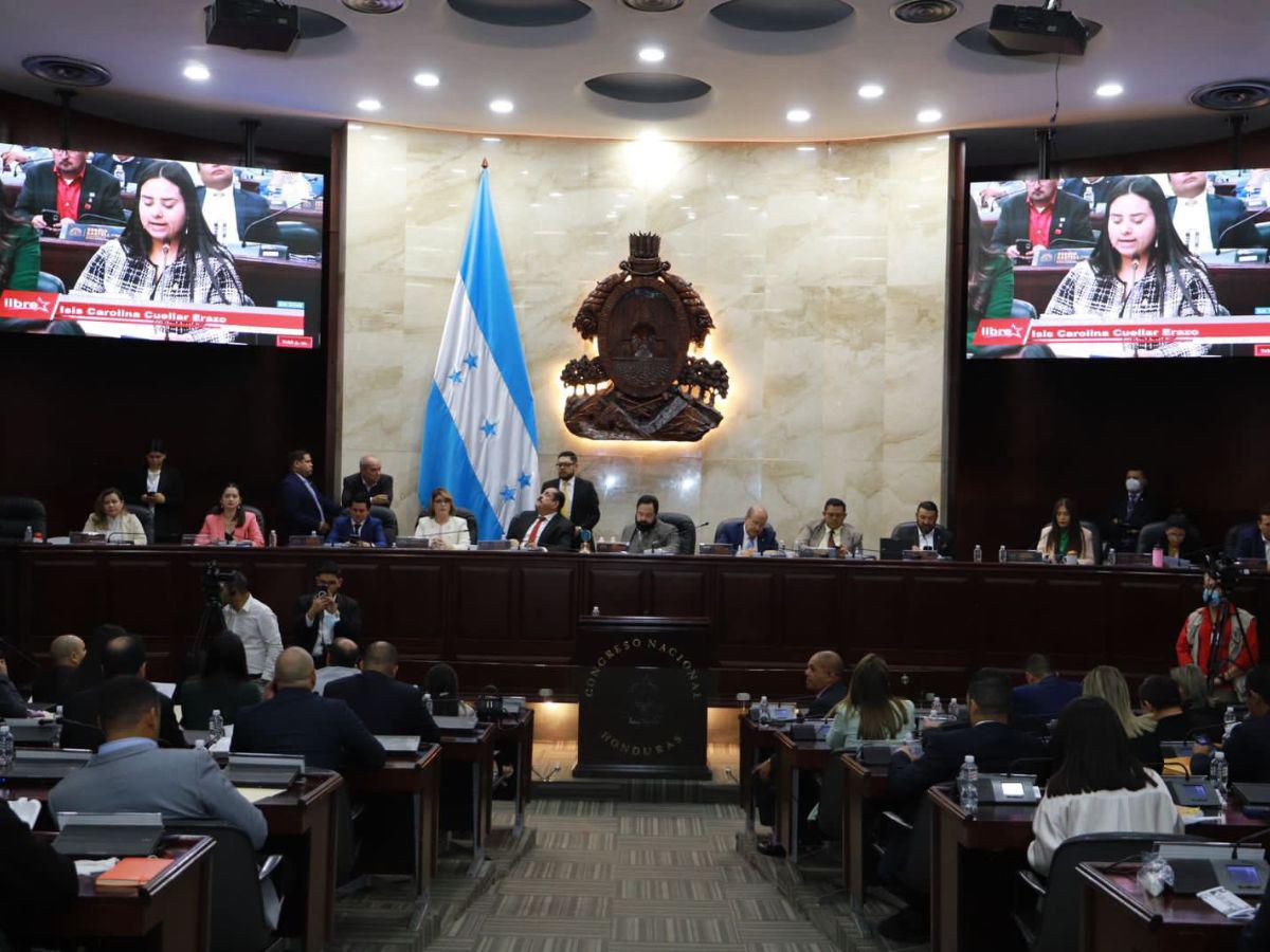 La diputada de Libre presentando la moción nominativa.