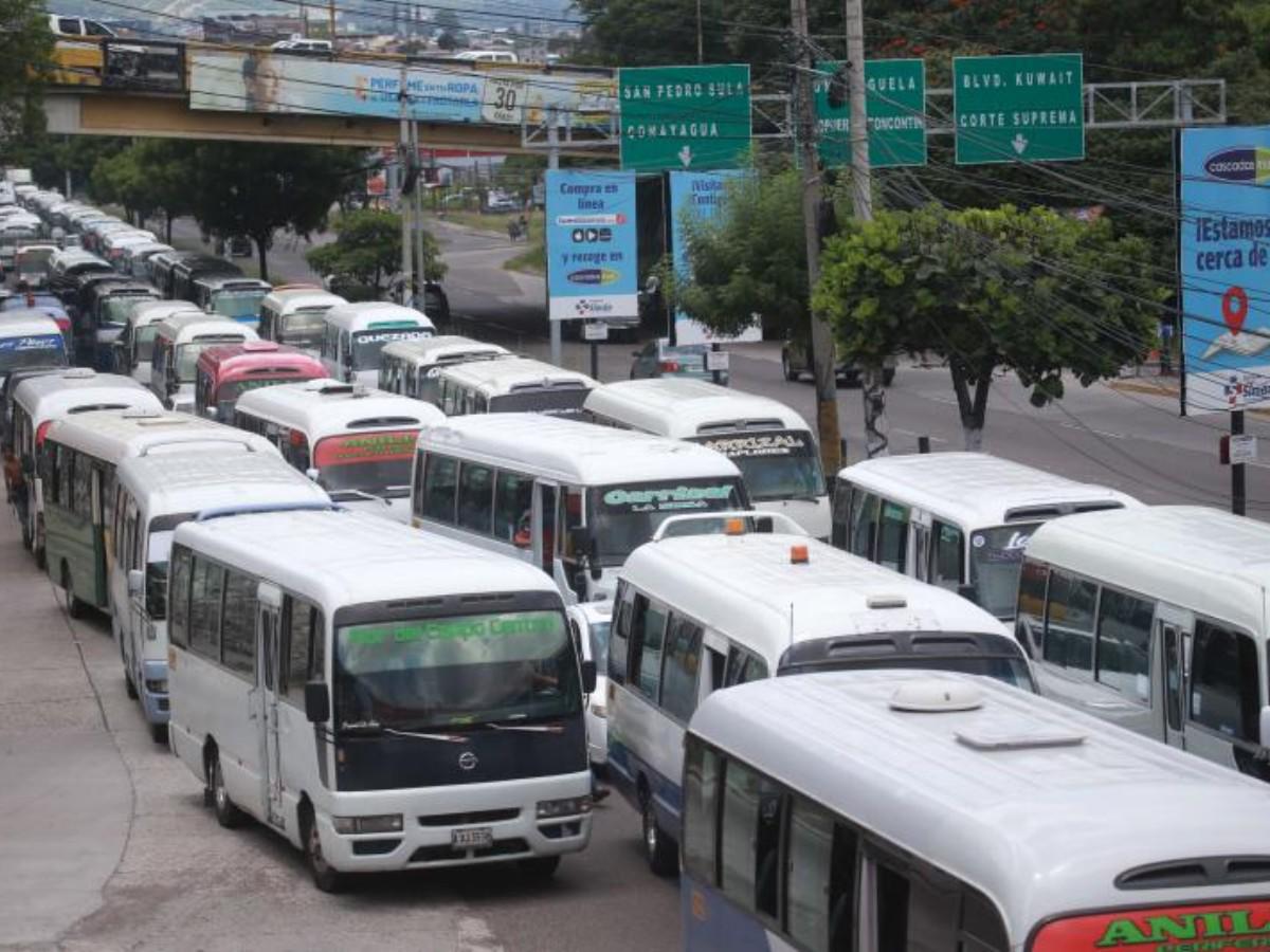 Conductores de buses deberán estar certificados para manejar las unidades