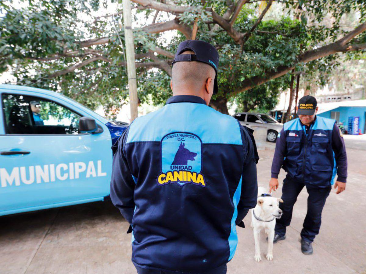 Más de 50 casos de maltrato animal ha atendido la Unidad Canina en la capital