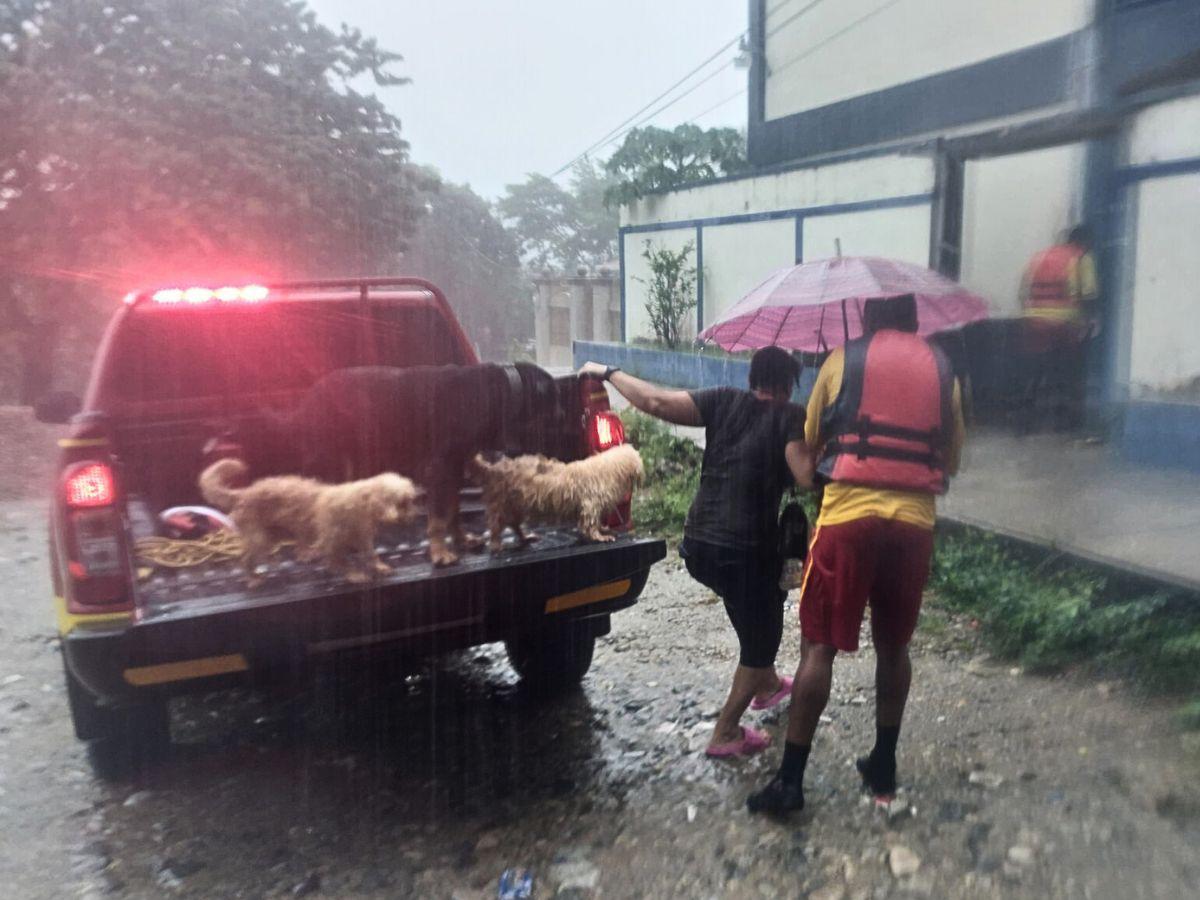 Tormenta Sara: Los rescates y albergados por inundaciones tras lluvias