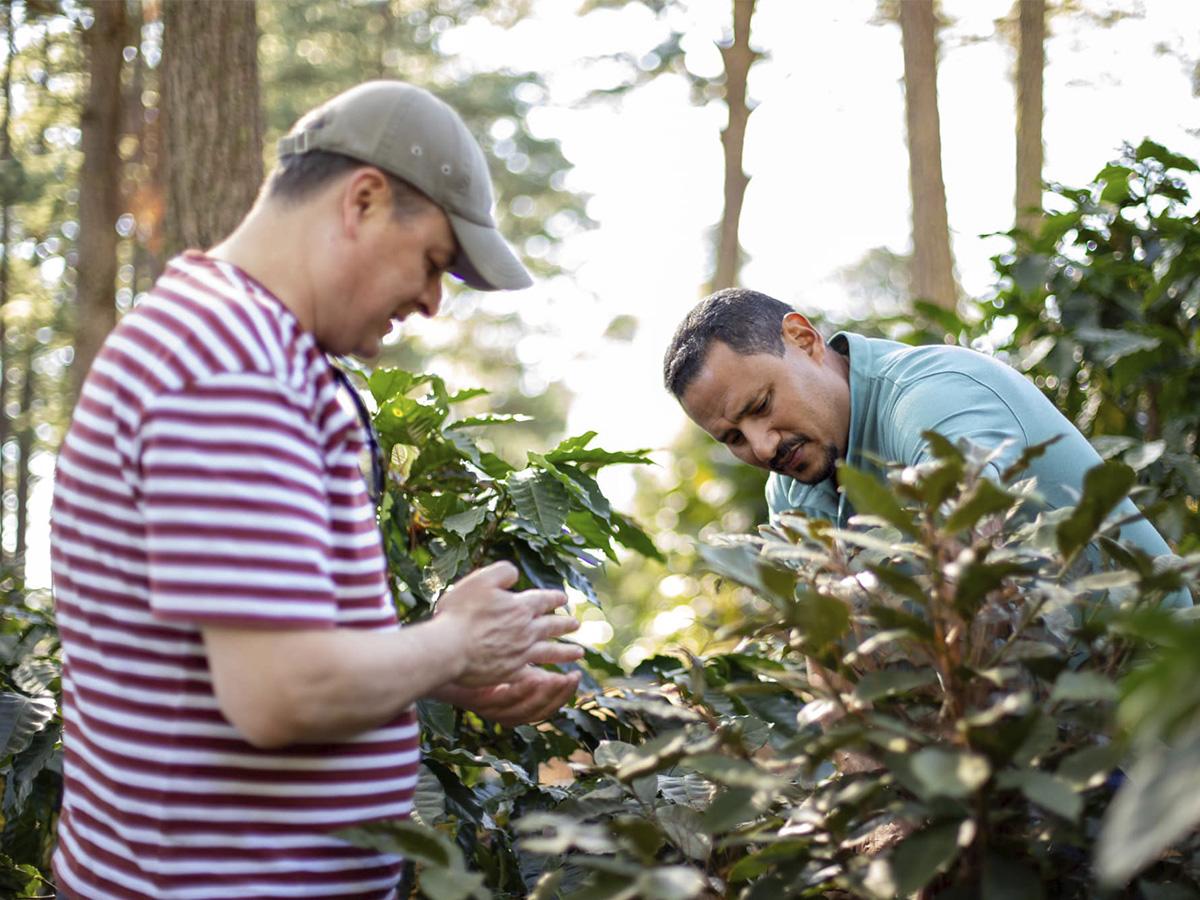 Agronegocios Sostenibles y ARUCO, impulsan la calidad y sostenibilidad del café hondureño