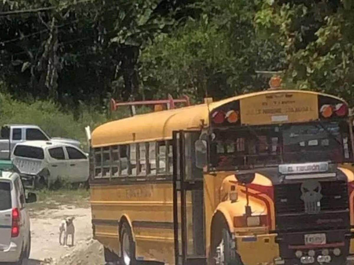 Muere conductor de bus en Copán tras ser atacado por sicarios