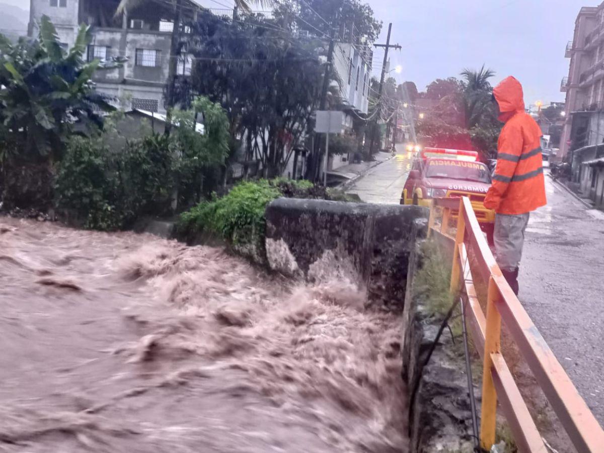 Estragos deja la tormenta tropical Sara tras su paso por Honduras