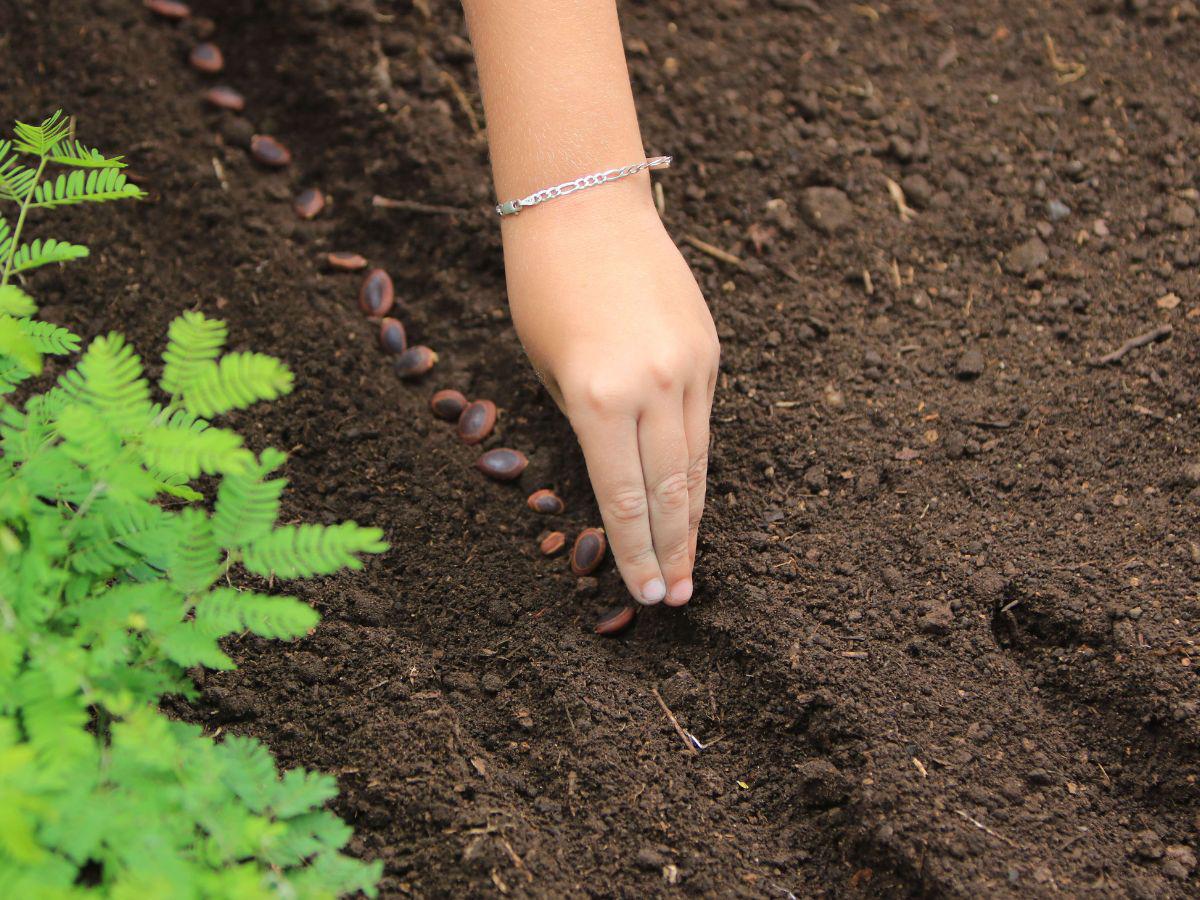 Héroes del ambiente conocen los viveros de la Alcaldía Municipal