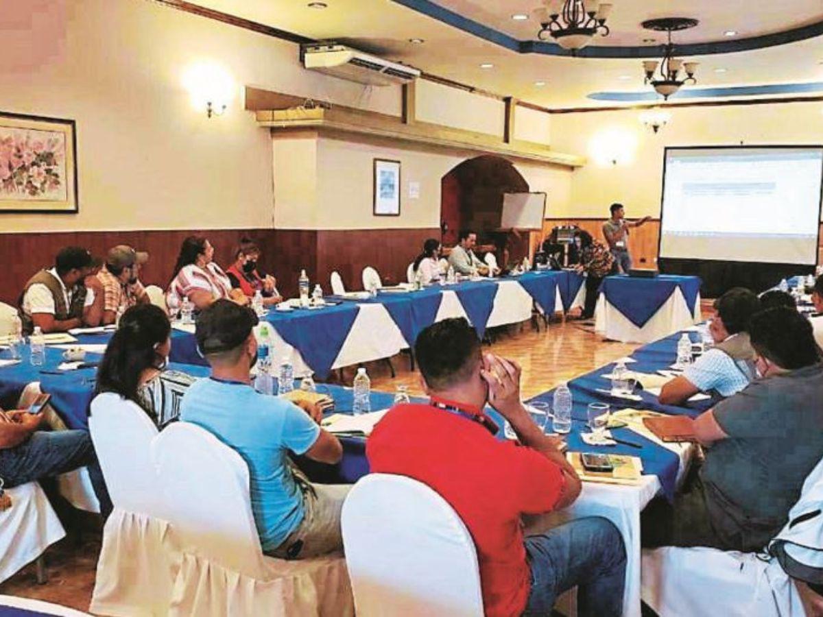 Fortalecerán uso de tecnología en el rubro agrícola por las lluvias en Honduras