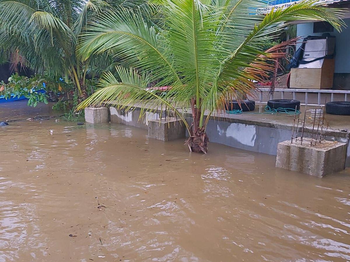 Luego de tres días de lluvia por Sara, Gracias a Dios afectado por inundaciones