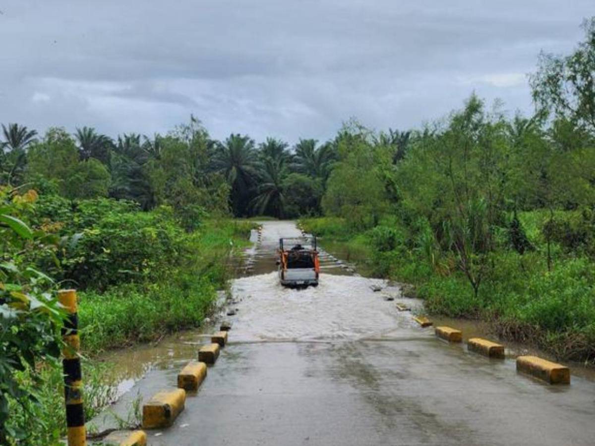 Inundaciones y derrumbes en Puerto Cortés y Omoa: imágenes de las afectaciones