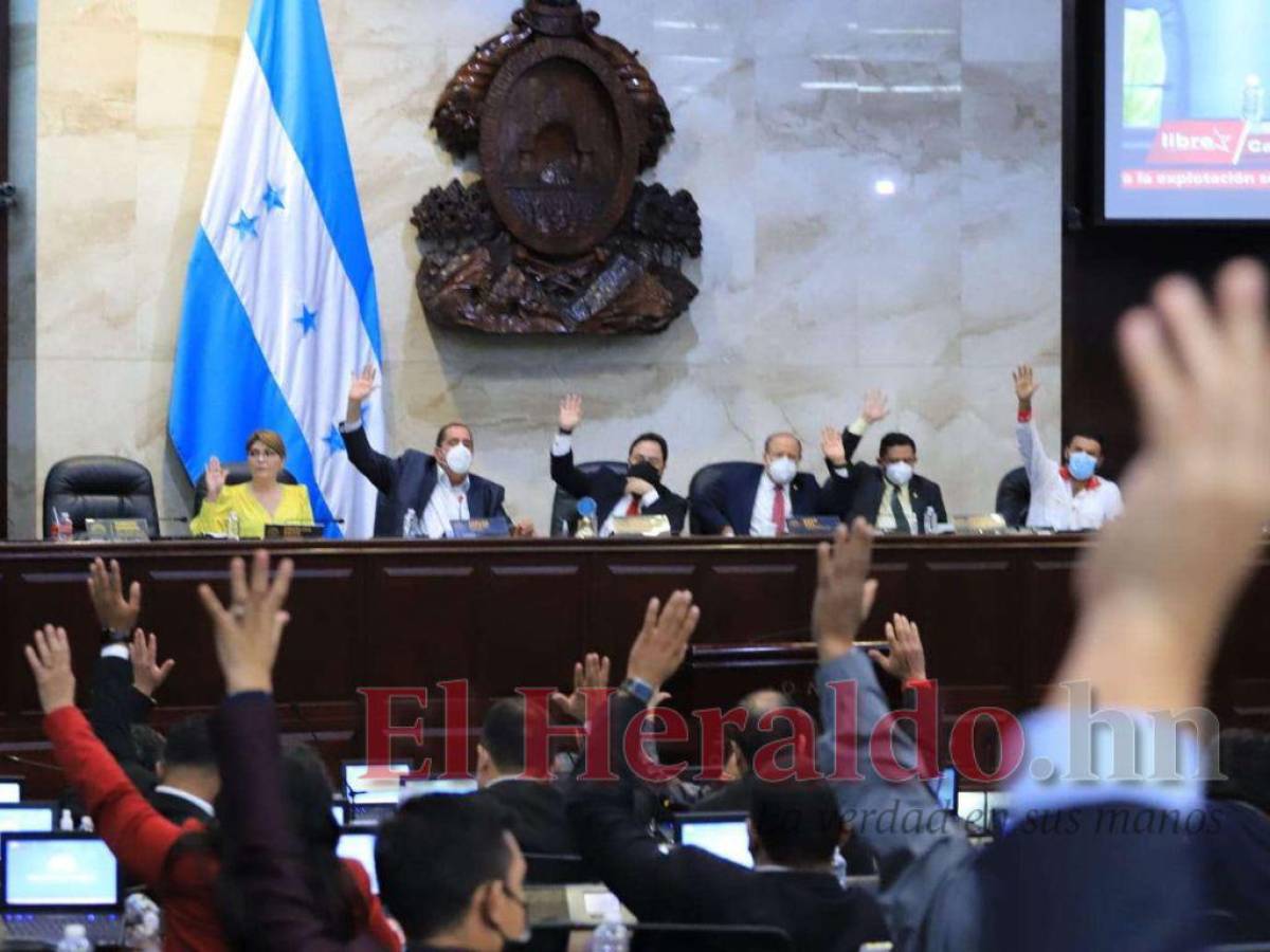 Congreso Nacional aprobará este viernes la nueva ley con la que se regirá la Junta Nominadora