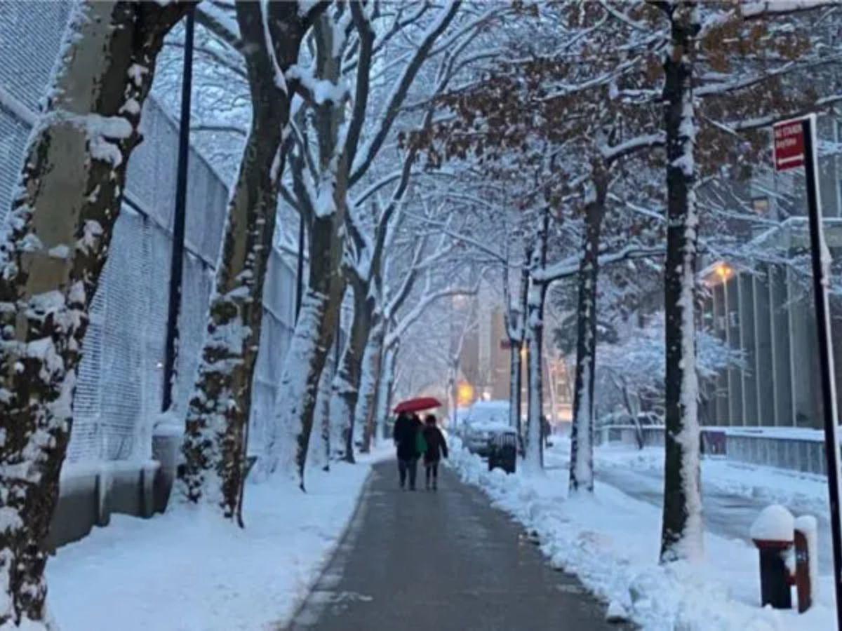 Intensas nevadas cubren grandes regiones de EUA: ¿Cuáles son las zonas más afectadas?