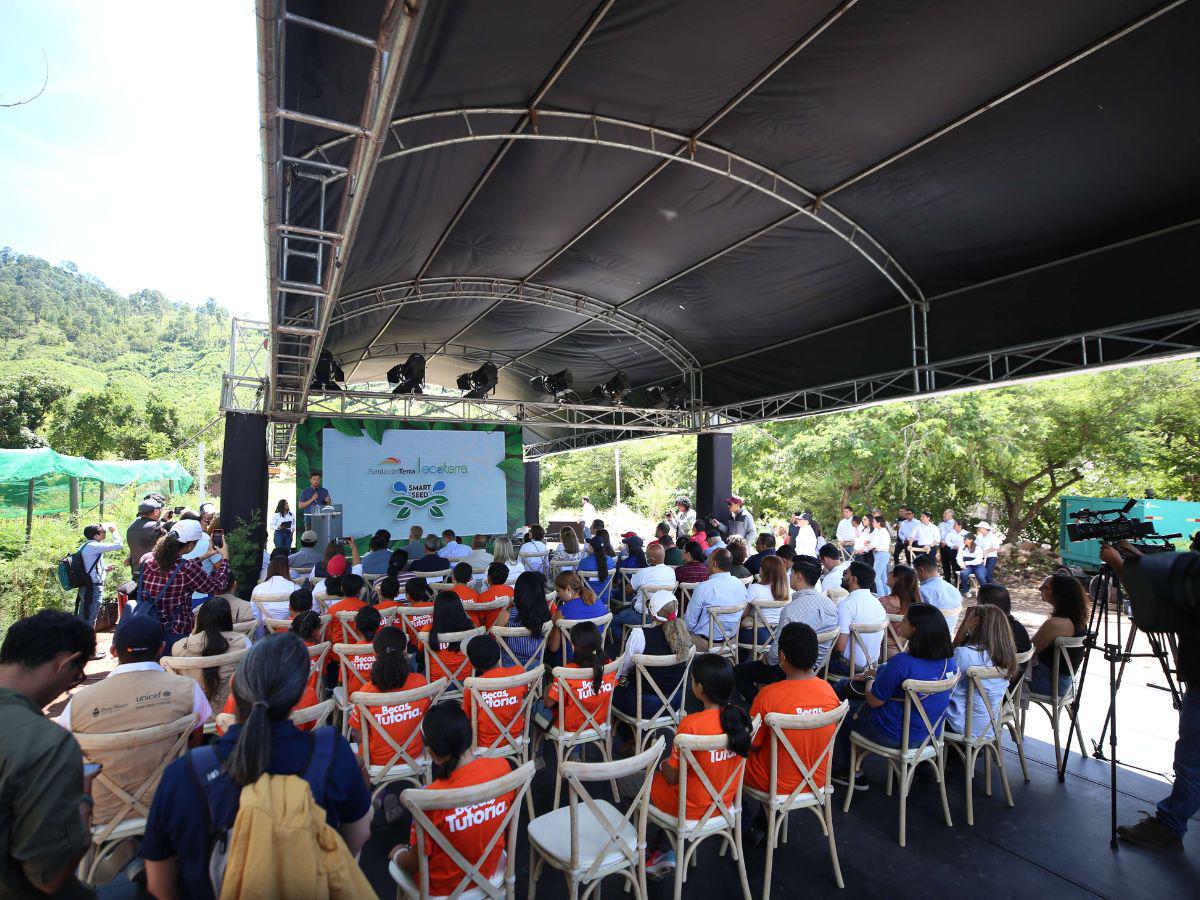 Fundación Terra reforestará el bosque de Honduras con su proyecto Smart Seed