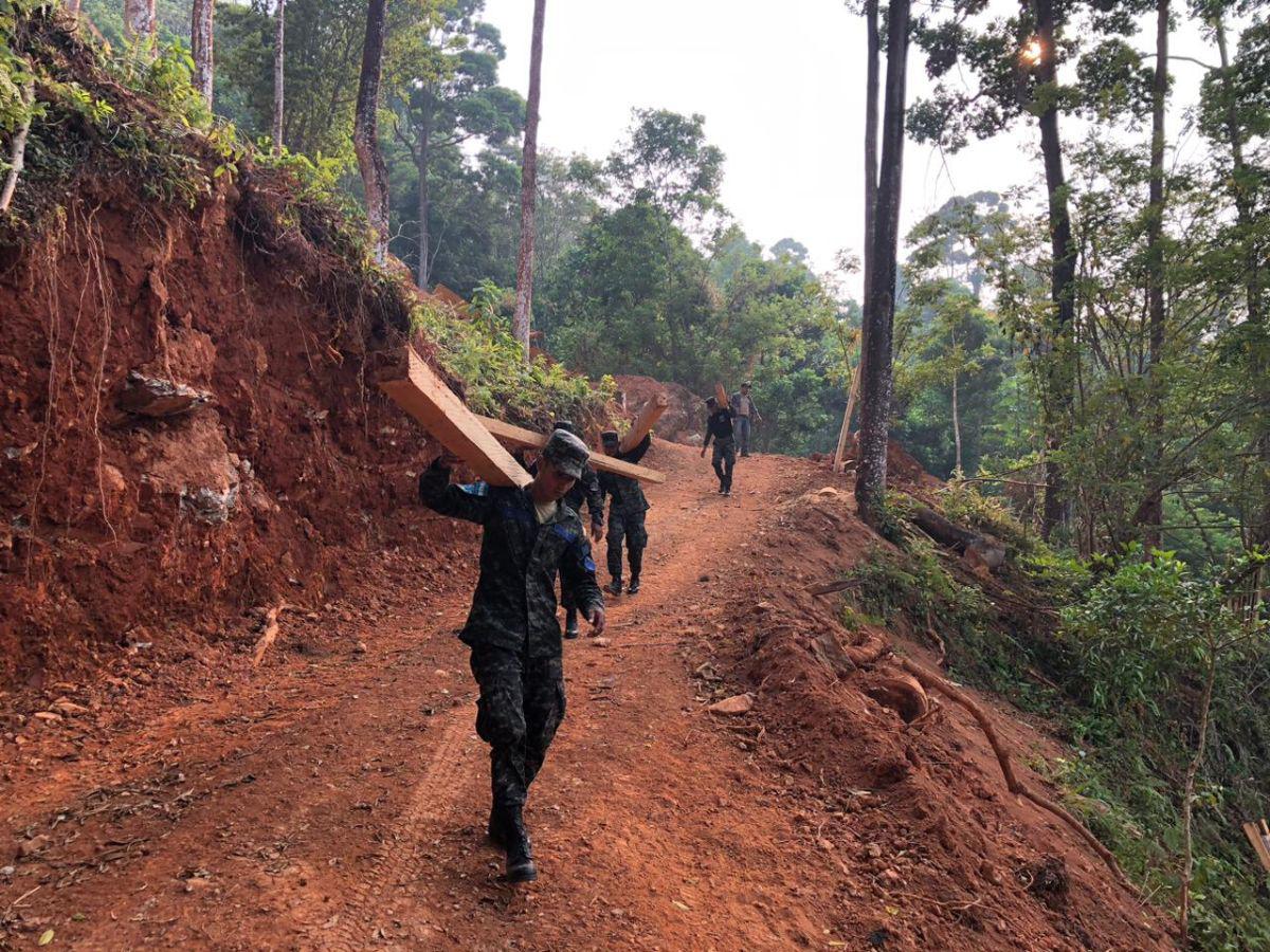 Descubren carretera ilegal y descombro de bosque latifoliado en La Ceiba