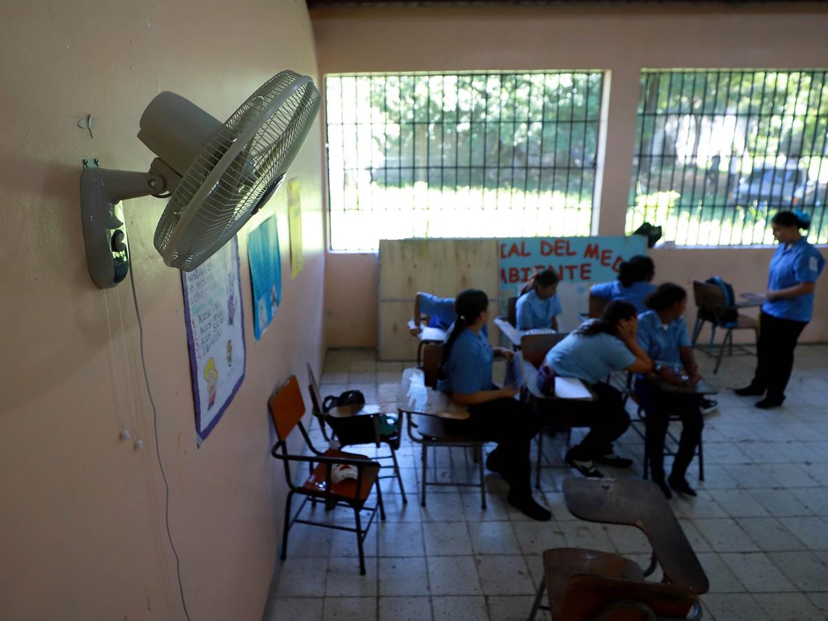 Matrícula Gratis impulsa leves mejoras, mientras carencias persisten en escuelas rurales