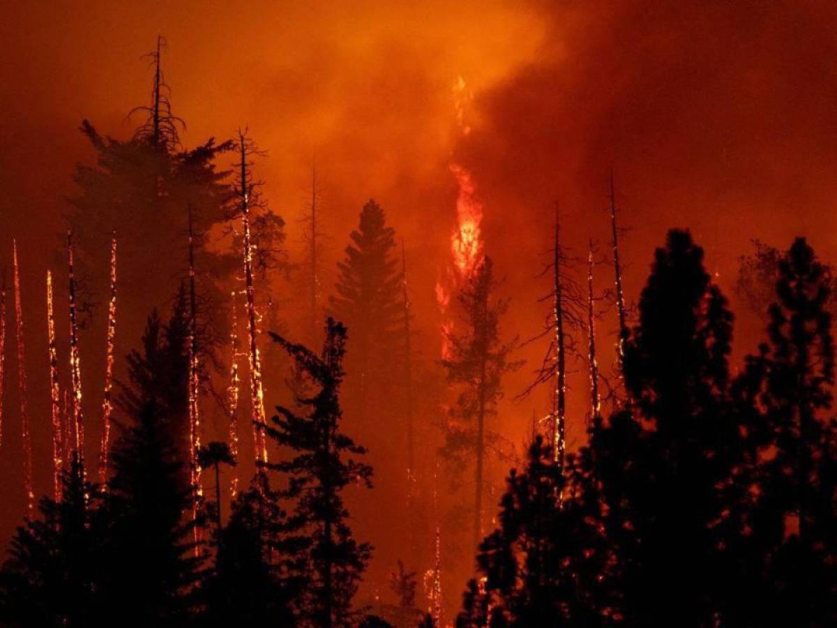 Cuatro muertos deja el mayor incendio forestal de California