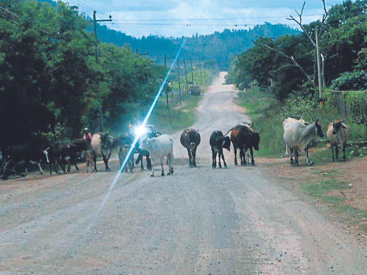 SIT promete retomar obra de carretera de Limones, Olancho