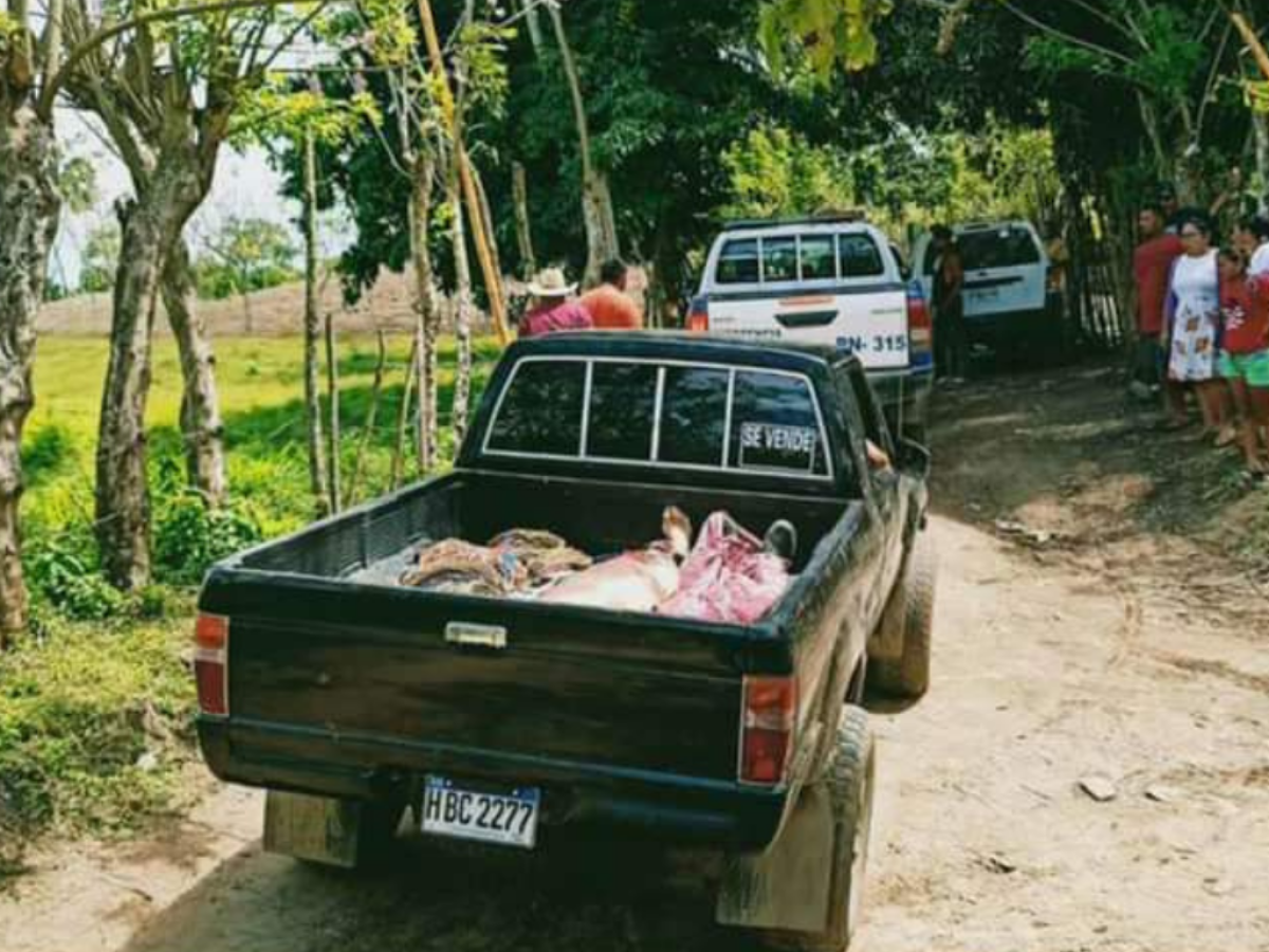 Tres miembros de una familia mueren en nueva masacre en Colón