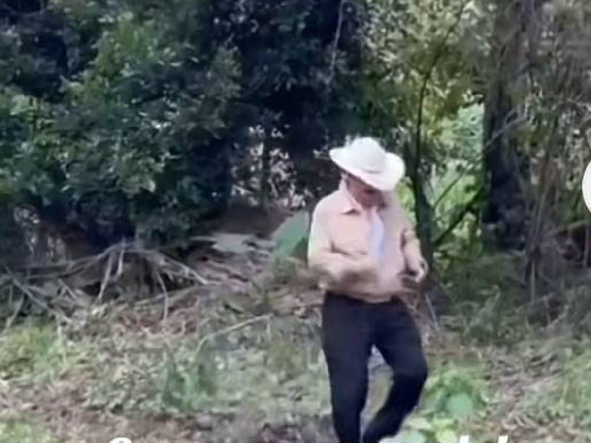 ¡En plena calma! Captan al expresidente ‘Mel’ Zelaya meciéndose en la rama de un árbol