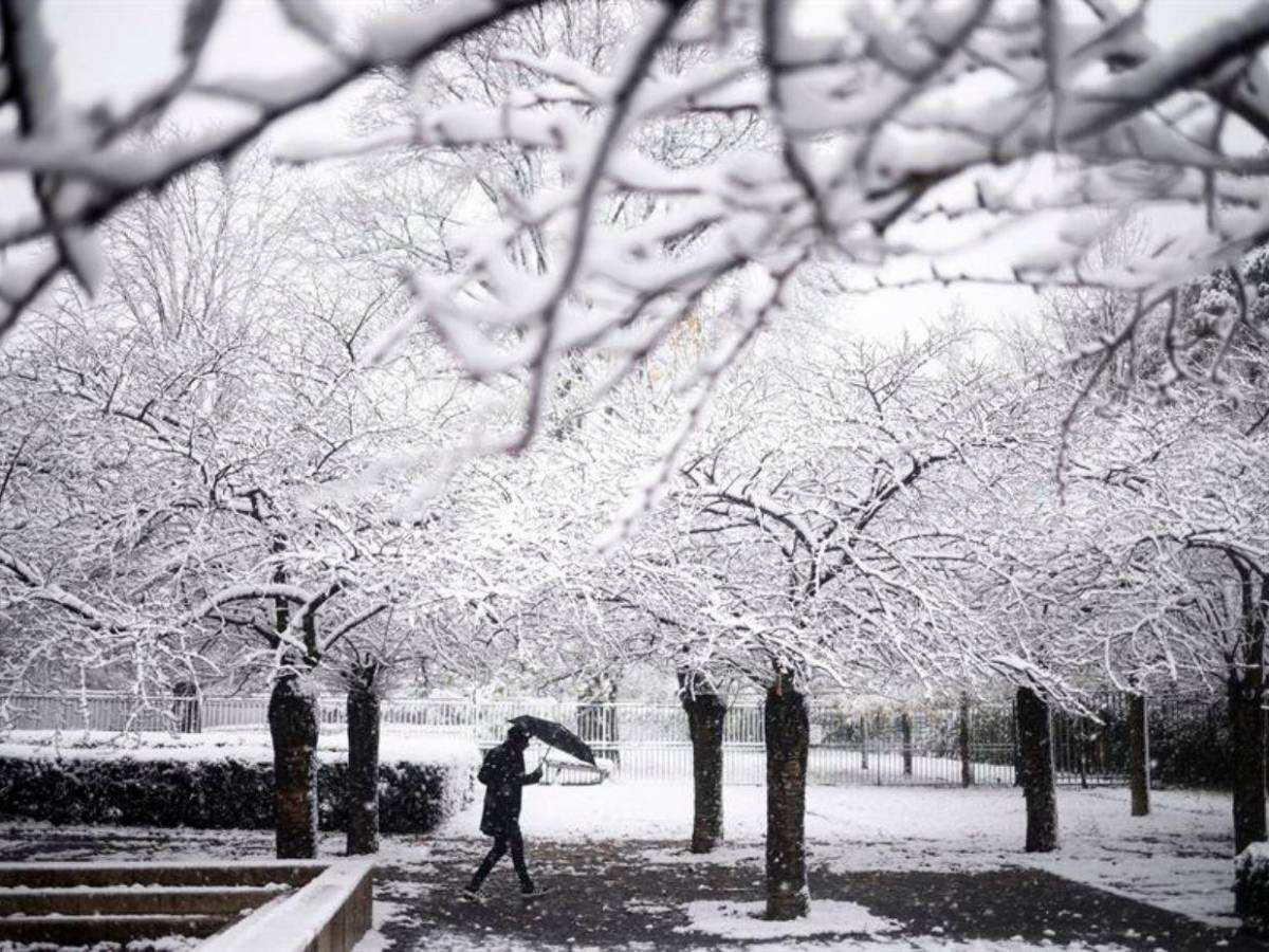 Temporal de nieve en Francia: vuelos cancelados y carreteras colapsadas