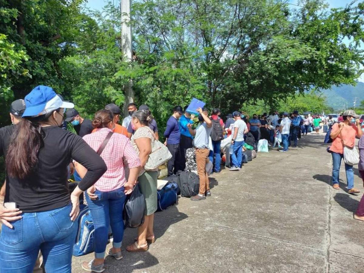 Muertes en la Anapo no fueron por consumo de bebidas energizantes