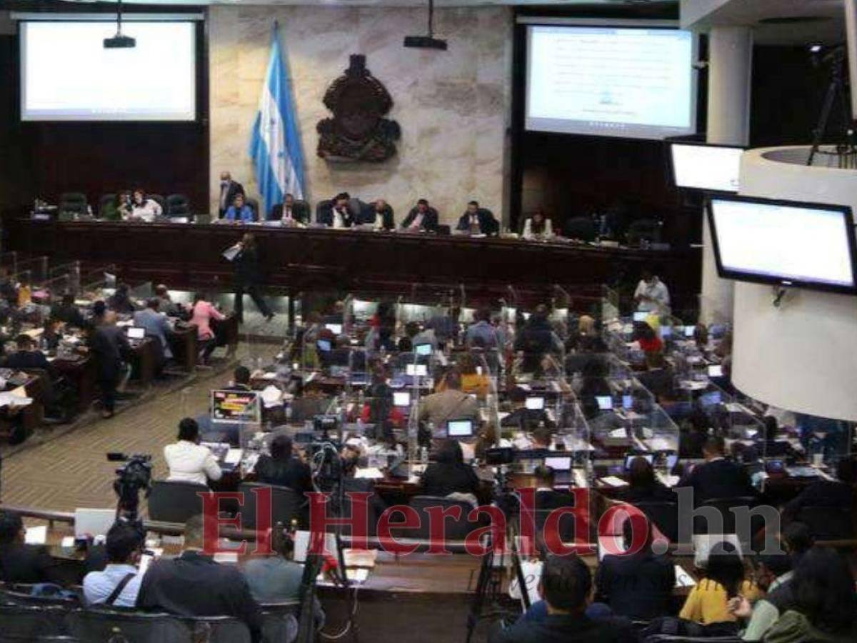 Dictamen de la Ley para Garantizar el Servicio de Energía pasa primer debate en el CN