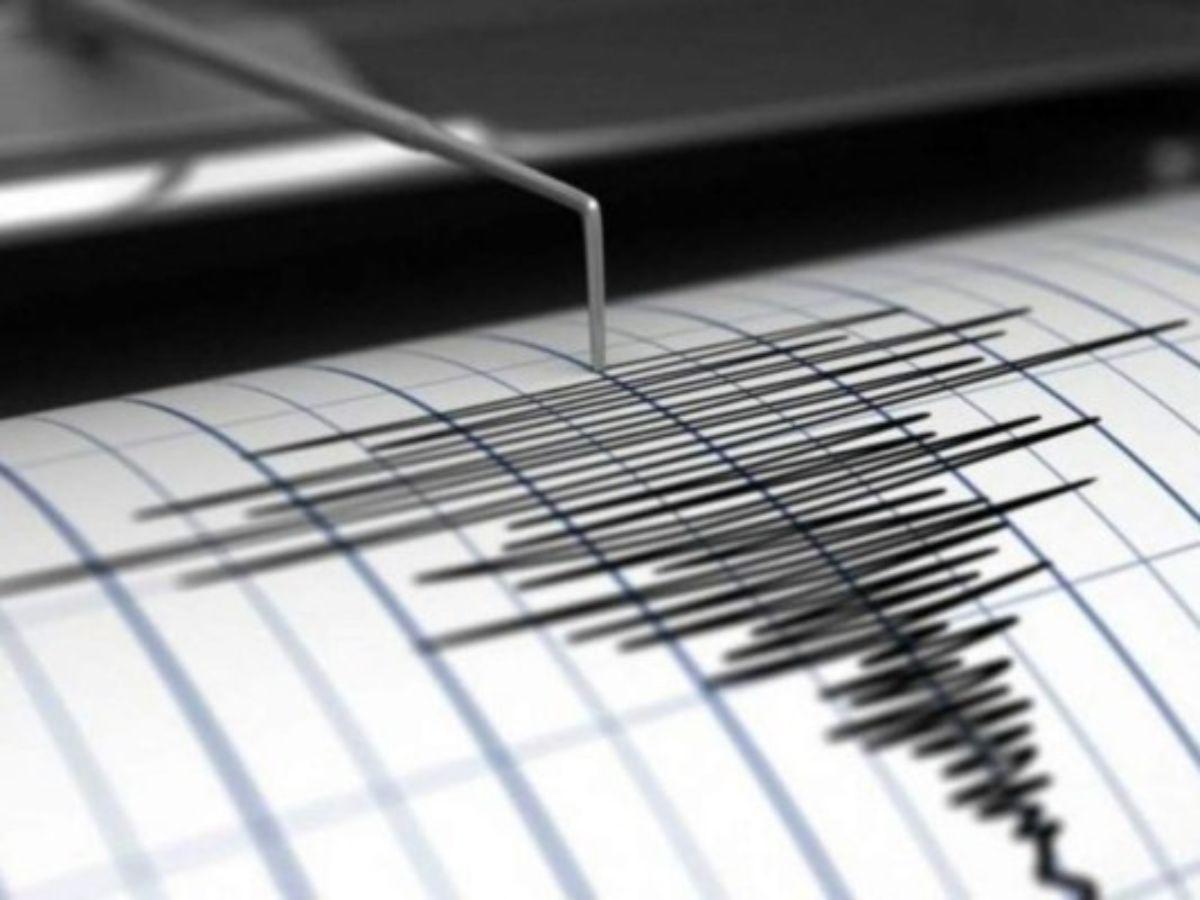 Sismo de 6,5 sacude el sur de México sin víctimas ni daños