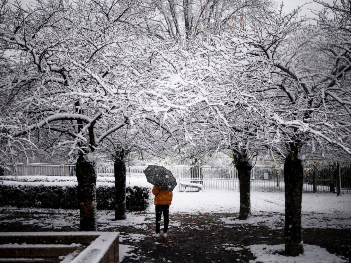 Temporal de nieve en Francia: vuelos cancelados y carreteras colapsadas