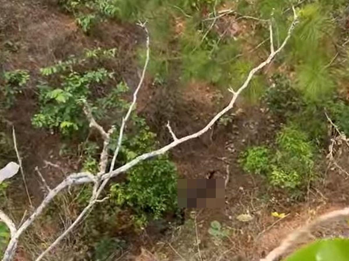 Hallan en un barranco cuerpo de mujer que salió a buscar trabajo en Olancho