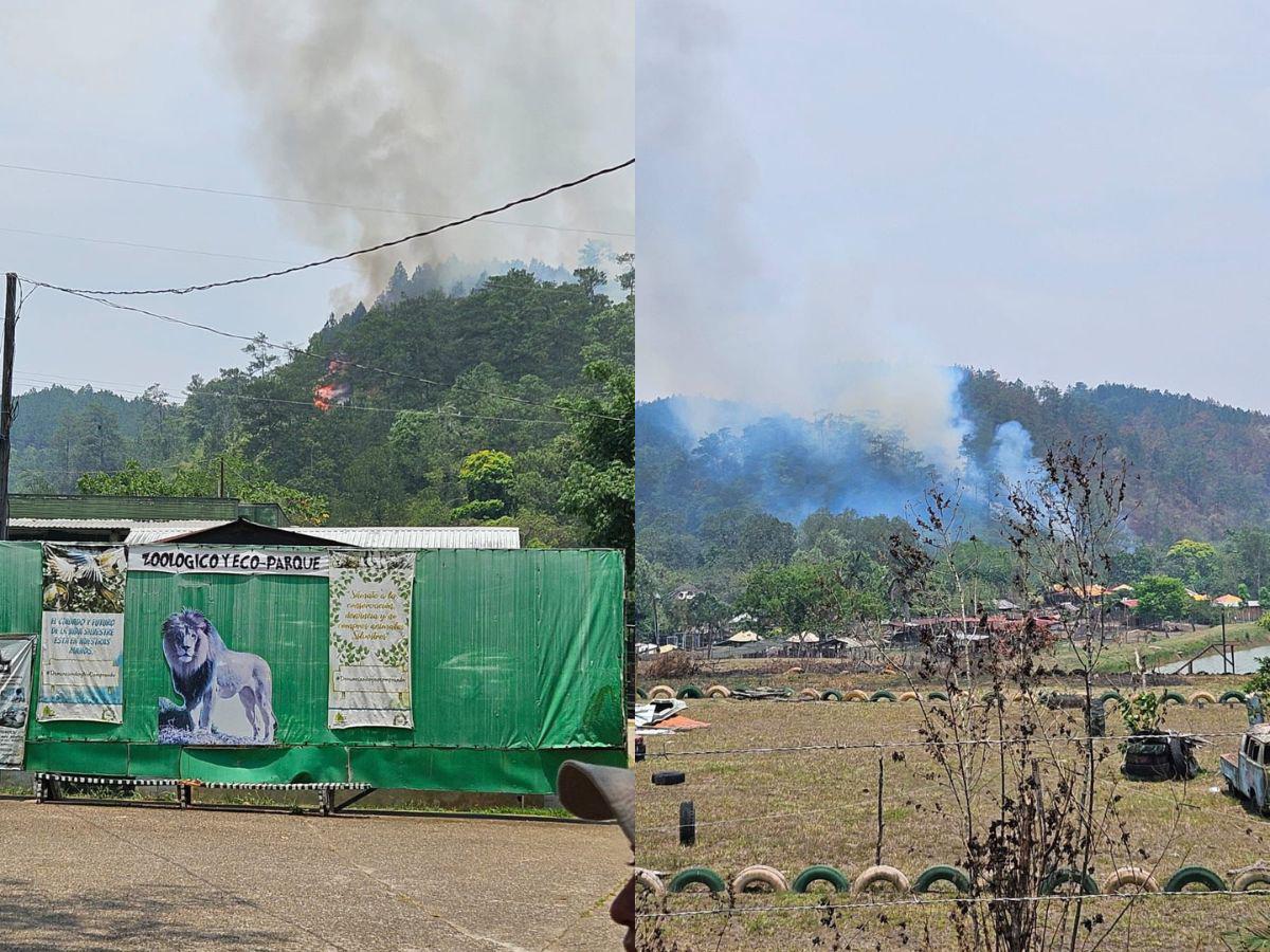 Preocupación por incendio forestal en las cercanías de Zoológico Joya Grande