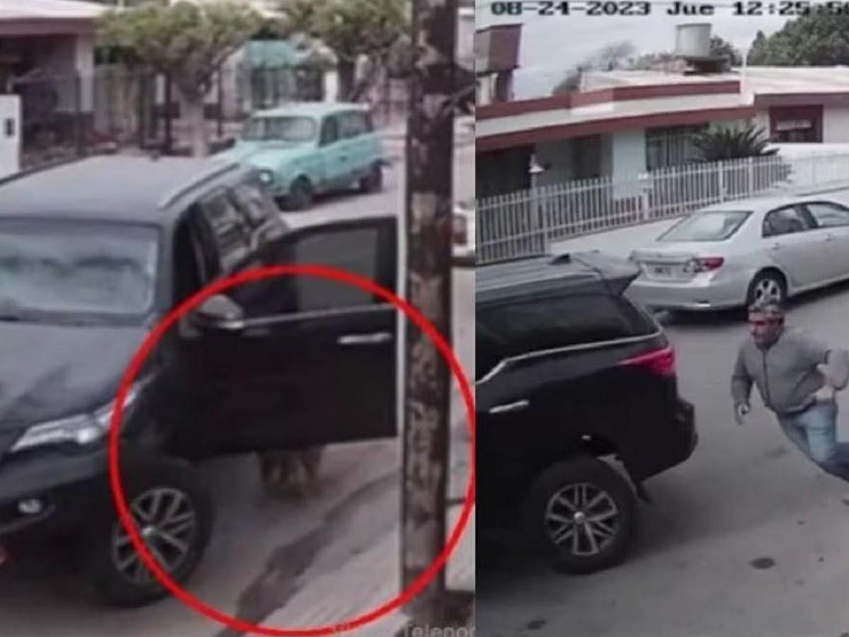 Perro choca camioneta contra una casa en Argentina