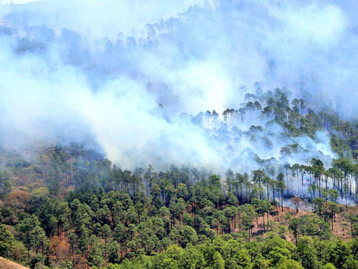 Pese a estar controlado el fuego, algunas zonas todavía emanan humo que podría reactivar el siniestro, según las autoridades.