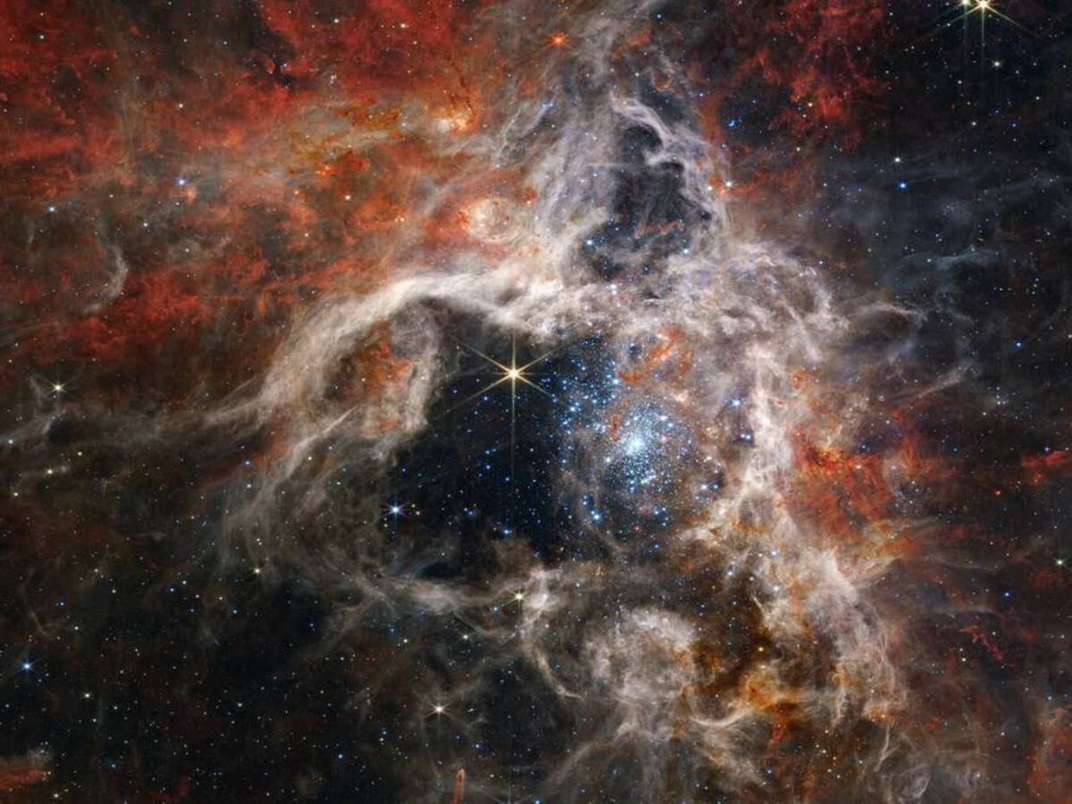 La poderosa visión en el espectro infrarrojo del telescopio espacial James Webb ha descubierto miles de estrellas en formación en la nebulosa de la Tarántula que hasta ahora no habían sido detectadas.