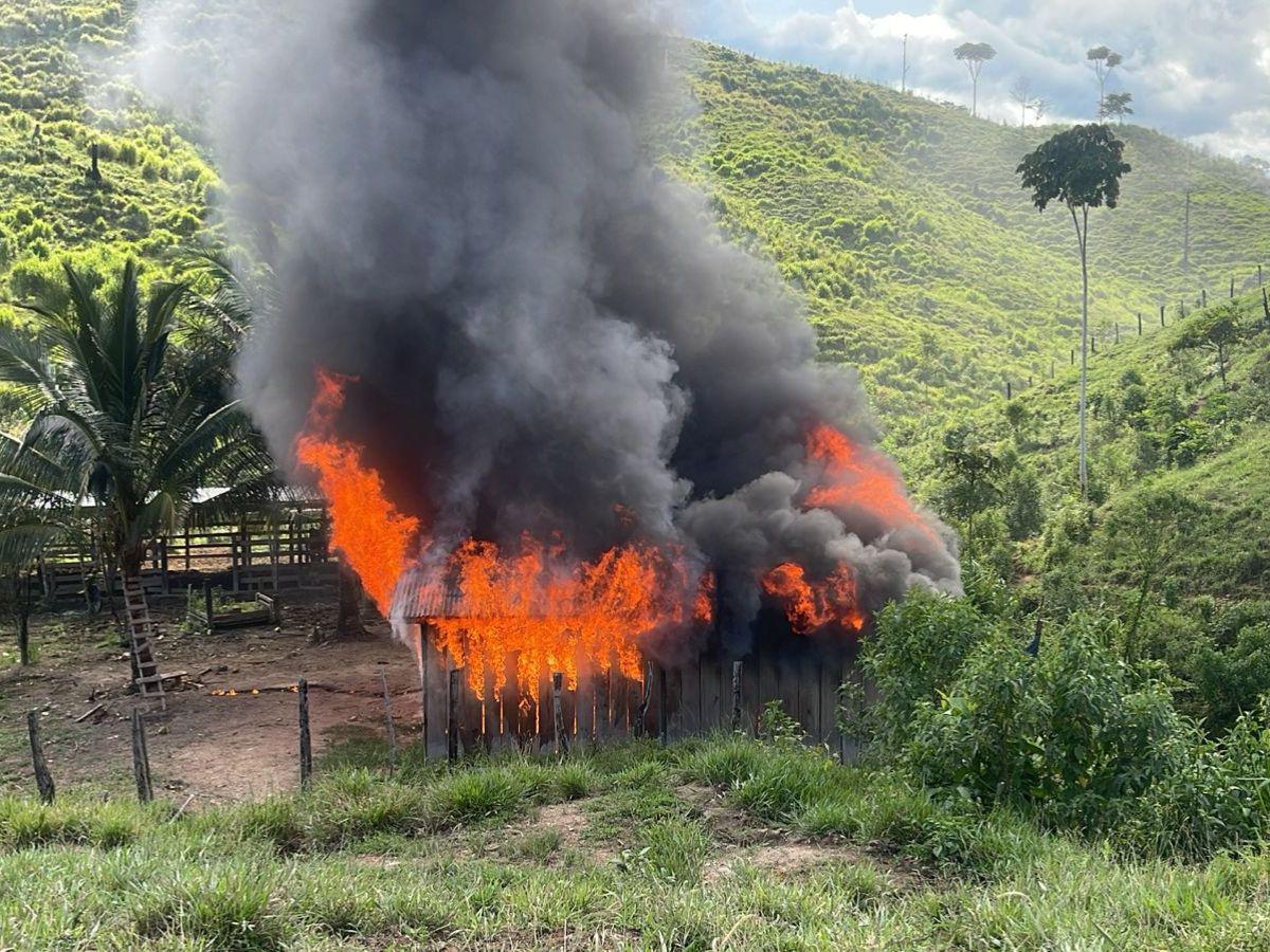 Destruyen narcolaboratorio y plantación de coca en zona núcleo de Patuca