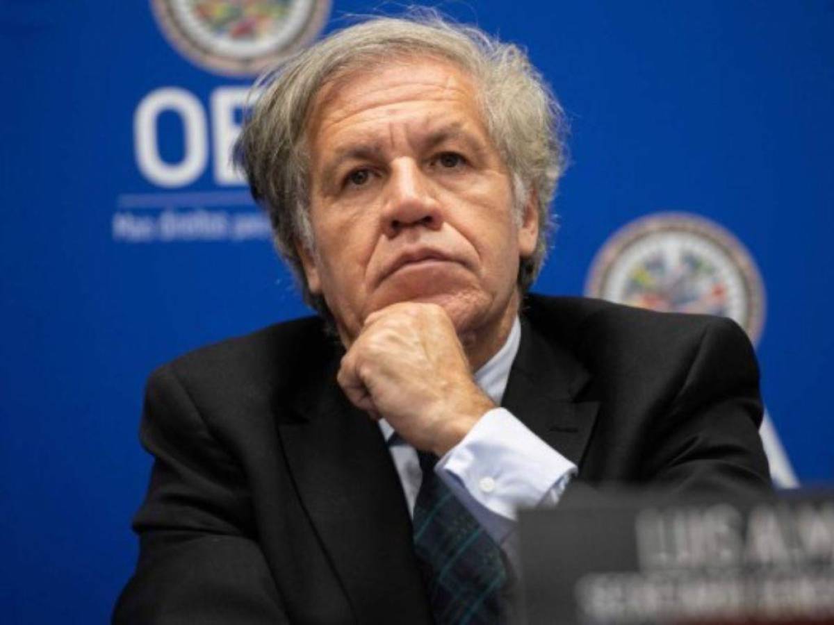 “Por conducta indebida”, la OEA examina si investiga a Luis Almagro