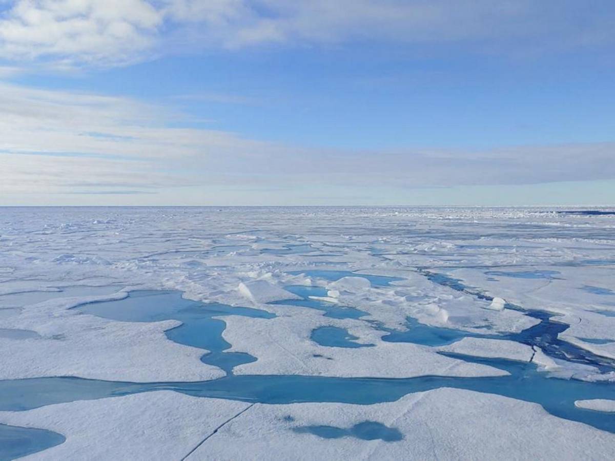 El Polo Norte a punto de quedarse sin hielo: en dos años podría derretirse  por completo