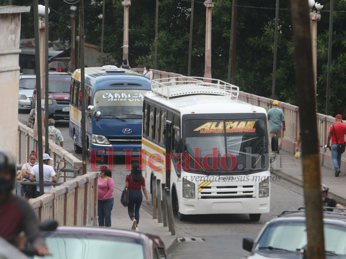 Transportistas se oponen a que el IHTT pase a ser parte de Insep