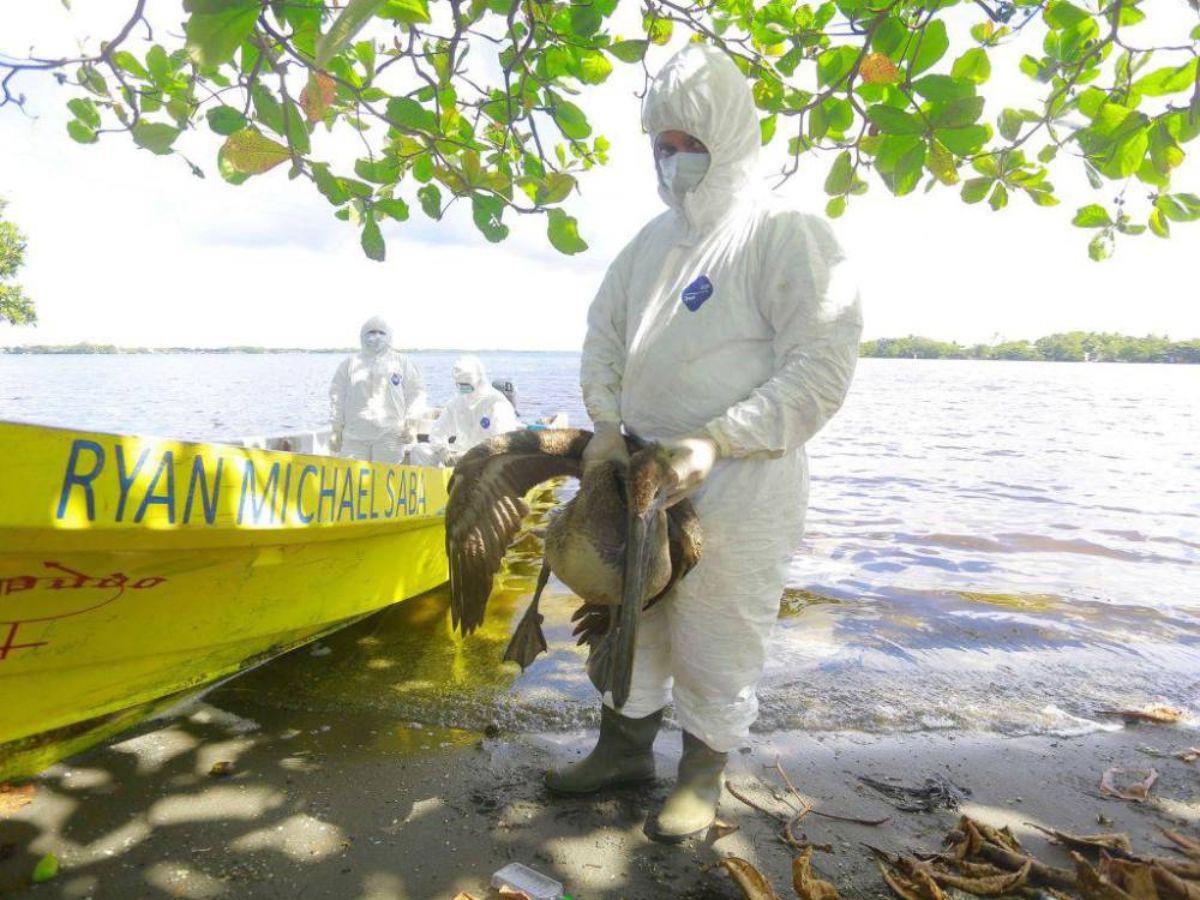 Equipo de Senasa realizaba una evaluación en la Laguna de Alvarado.