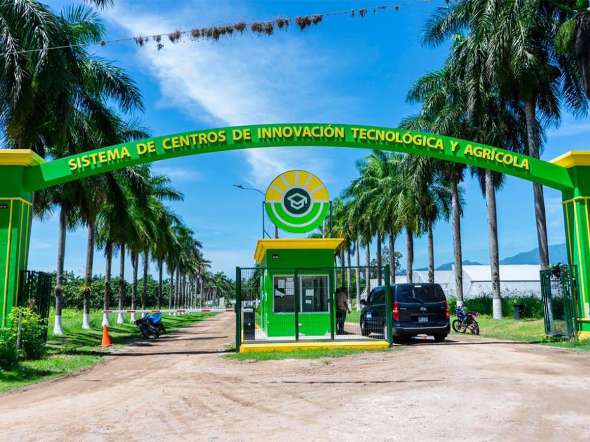 <i>La Expo Honduras Agrícola 2024 busca fortalecer la competitividad del agro hondureño mediante tecnologías de producción eficientes y sostenibles.</i>