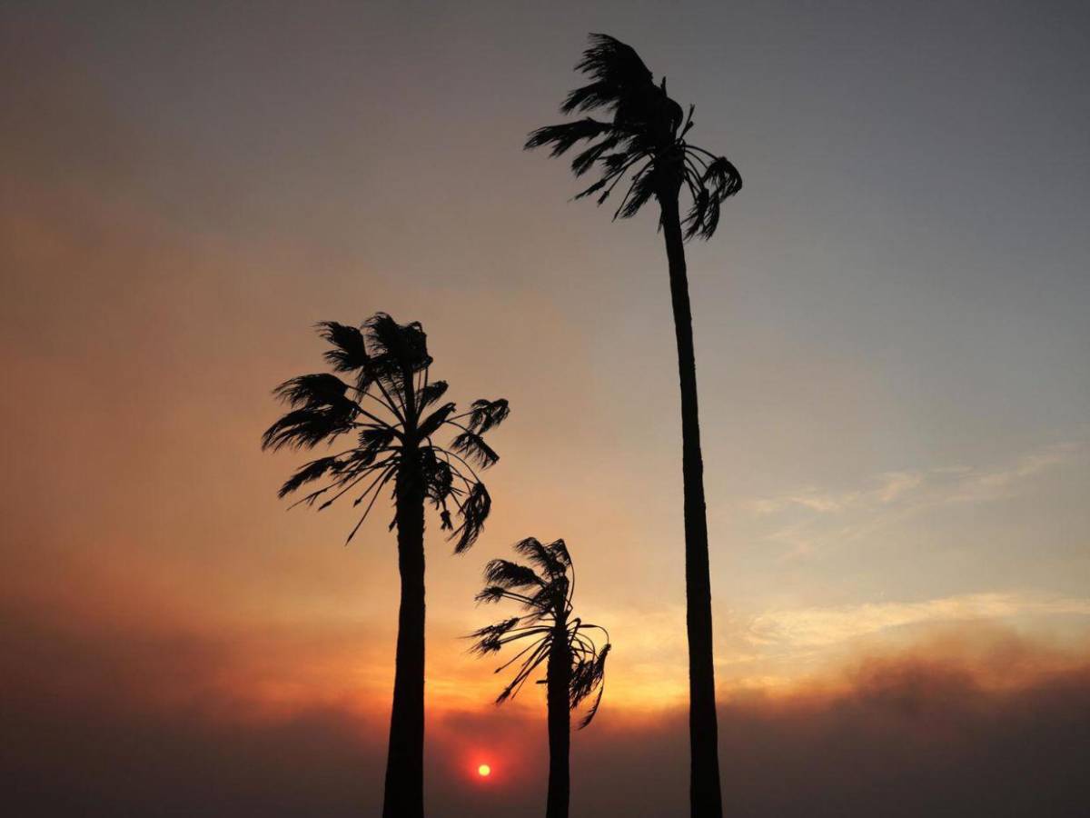 Los vientos de Santa Ana y su impacto catastrófico en los incendios de California