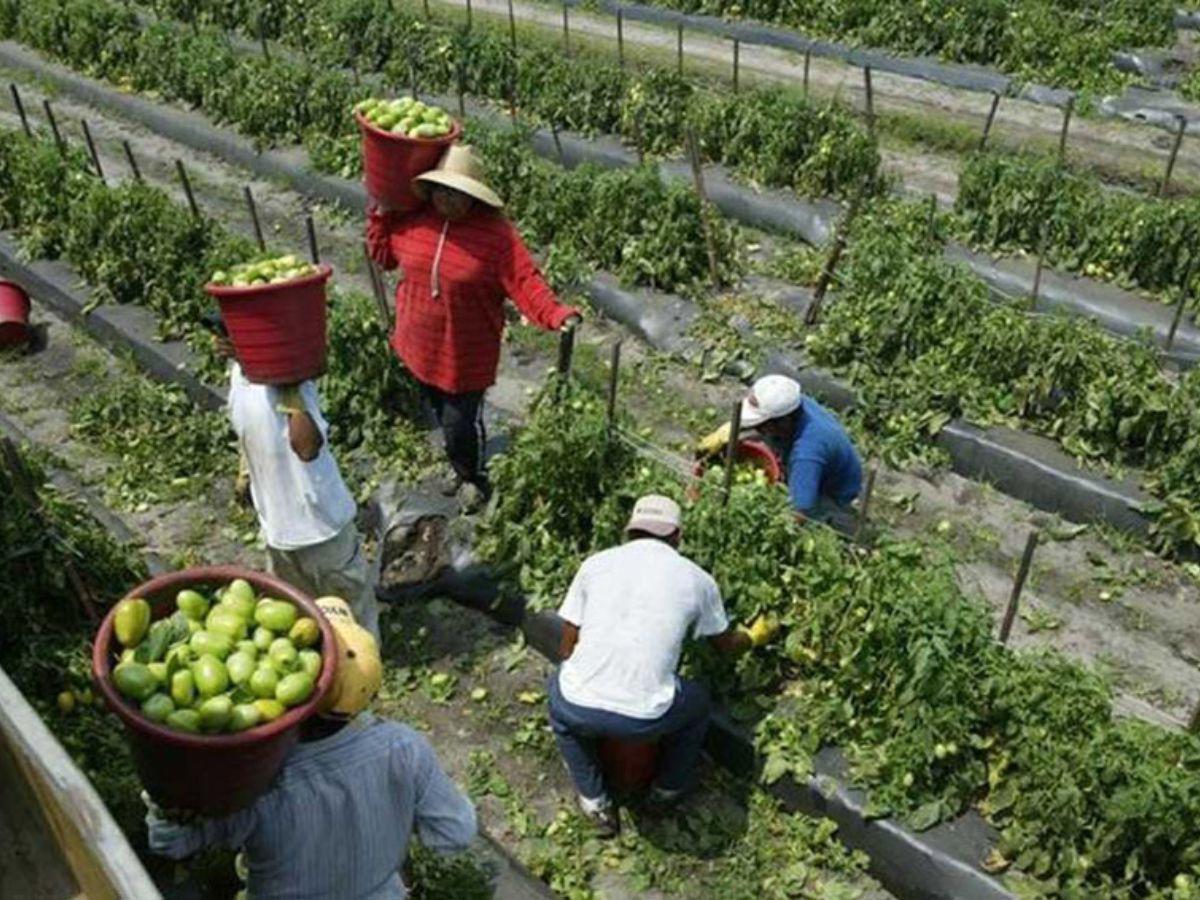 Cambios en permisos de trabajo para migrantes en EUA en 2025: todo lo que debes saber