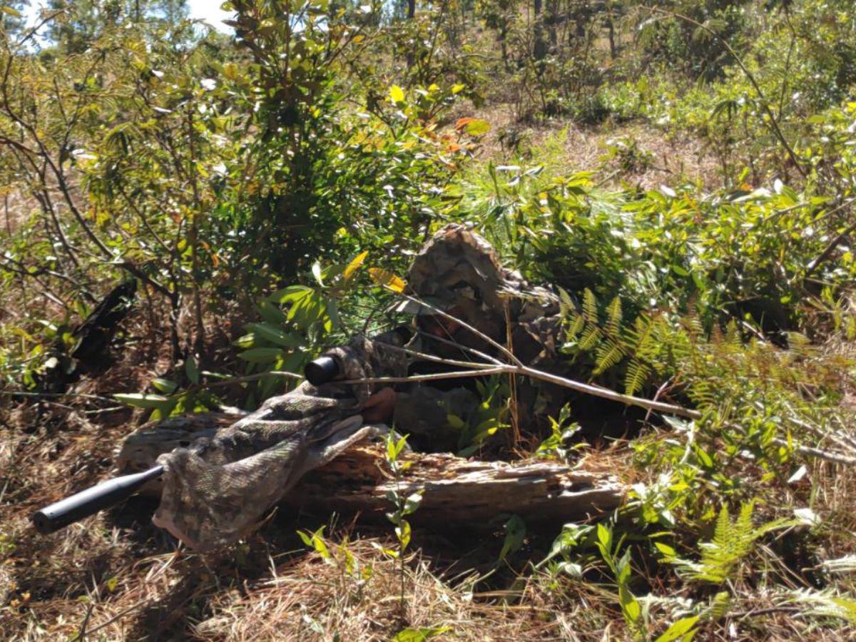 Fujiyama se tuvo que camuflar entre la naturaleza.