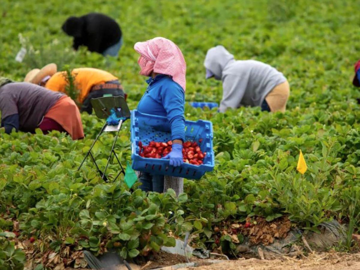 Cambios en permisos de trabajo para migrantes en EUA en 2025: todo lo que debes saber