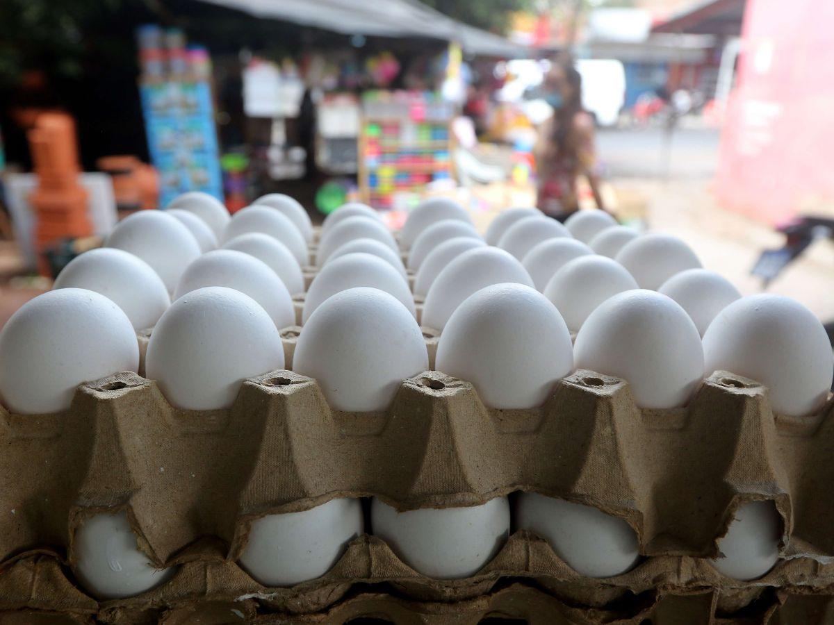 En el mercado local un consumidor puede conseguir un cartón de huevos por más de 140 lempiras.