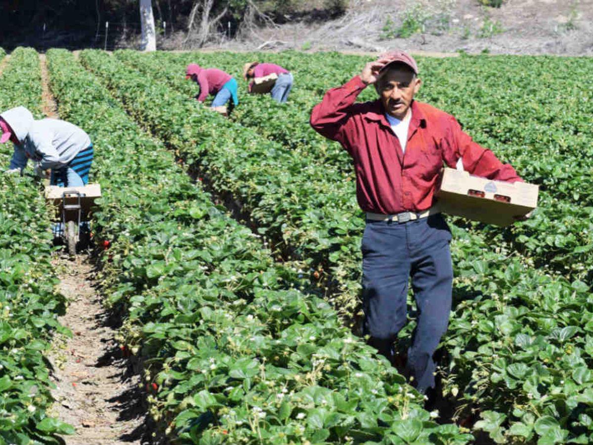 Cambios en permisos de trabajo para migrantes en EUA en 2025: todo lo que debes saber