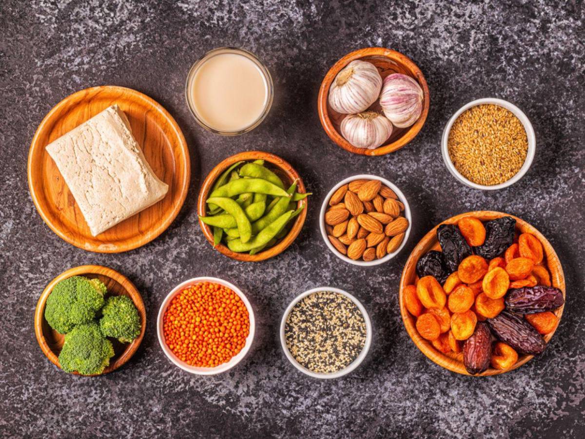 Nutrición en la menopausia: Guía completa para una vida saludable