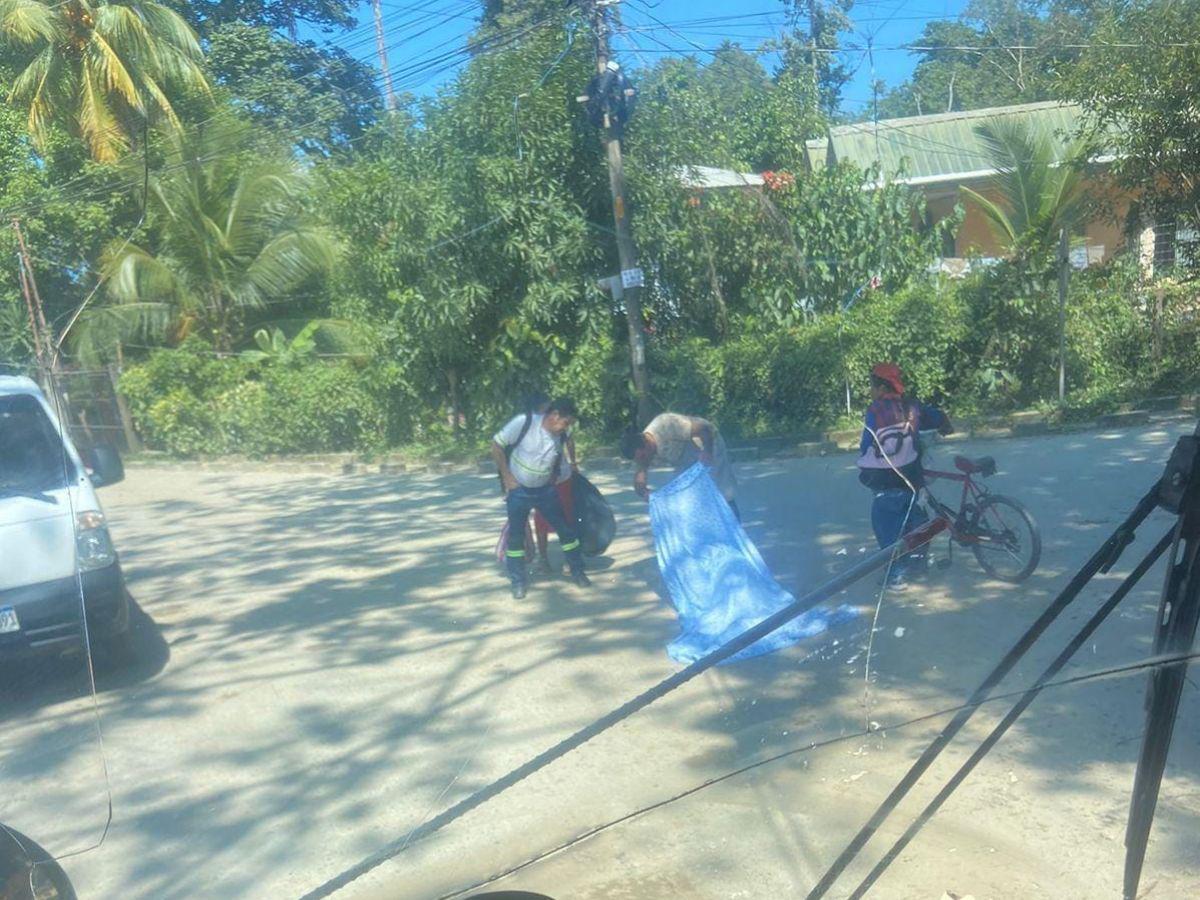 Hallan muerto a joven en La Cieneguita, Puerto Cortés