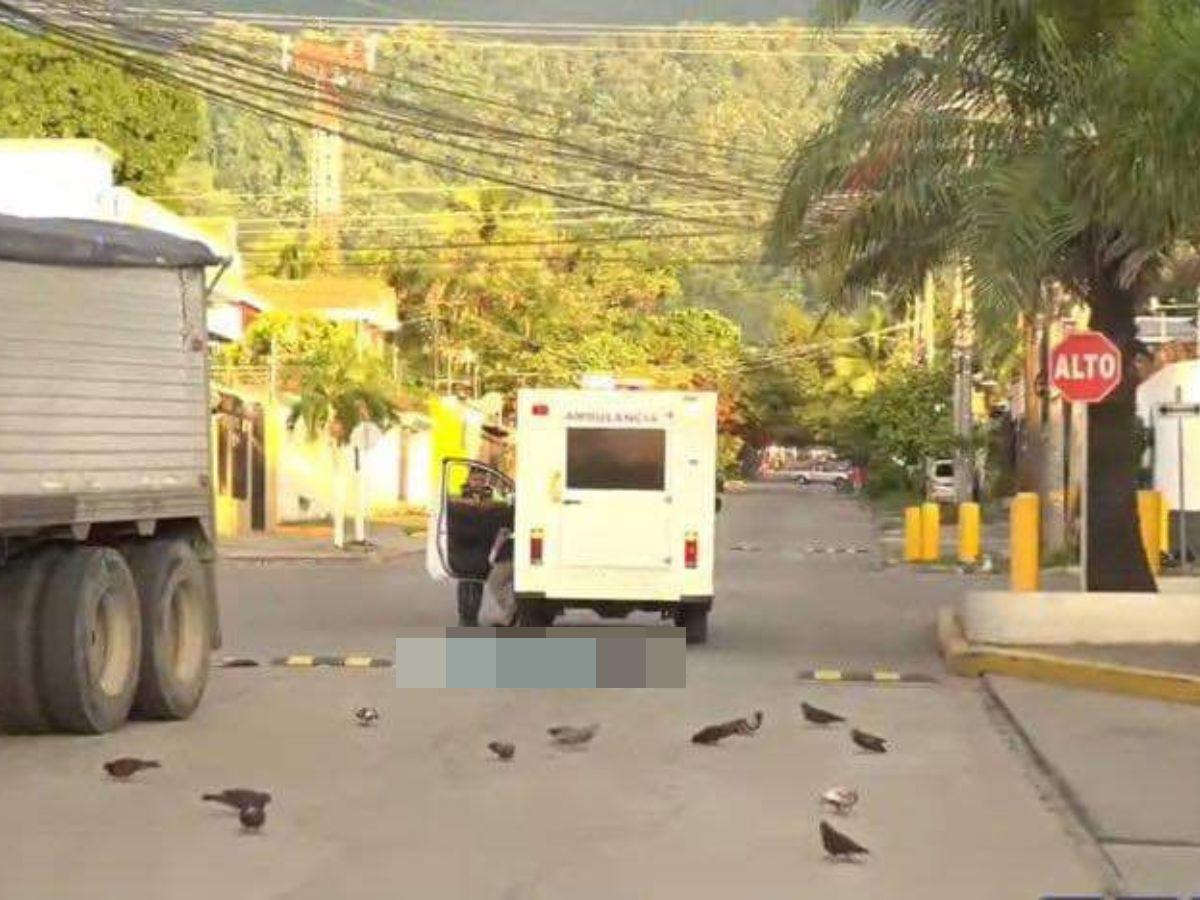 Guardia de seguridad muere atropellado por una rastra en San Pedro Sula